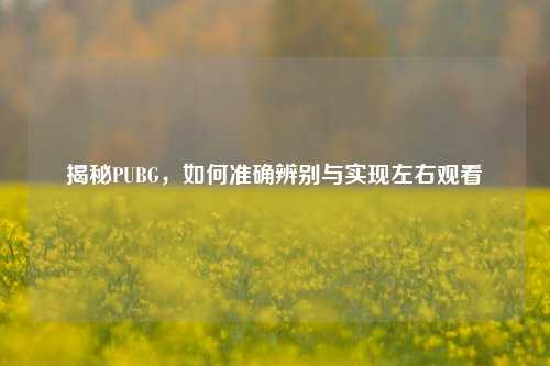 揭秘PUBG,如何准确辨别与实现左右观看