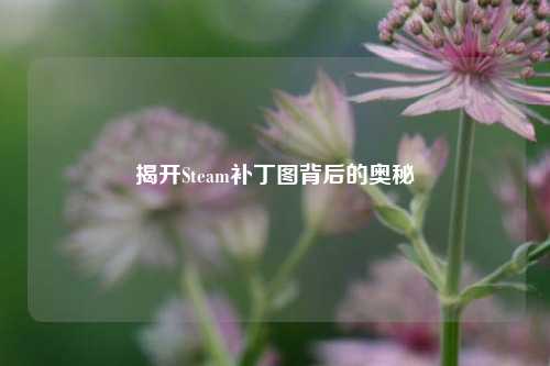揭开Steam补丁图背后的奥秘