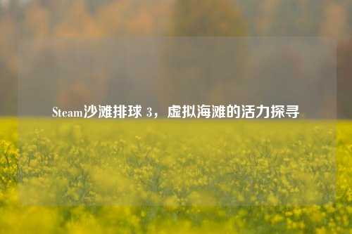 Steam沙滩排球 3，虚拟海滩的活力探寻