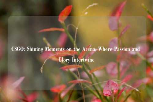 CSGO: Shining Moments on the Arena, Where Passion and Glory Intertwine