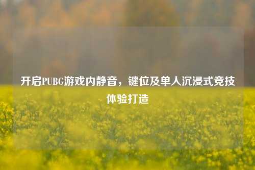 开启PUBG游戏内静音,键位及单人沉浸式竞技体验打造