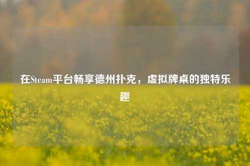 在Steam平台畅享德州扑克,虚拟牌桌的独特乐趣