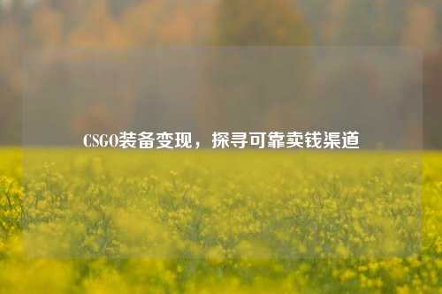 CSGO装备变现,探寻可靠卖钱渠道