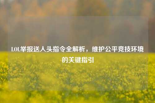 LOL举报送人头指令全解析,维护公平竞技环境的关键指引