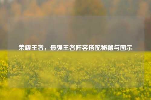 荣耀王者,最强王者阵容搭配秘籍与图示