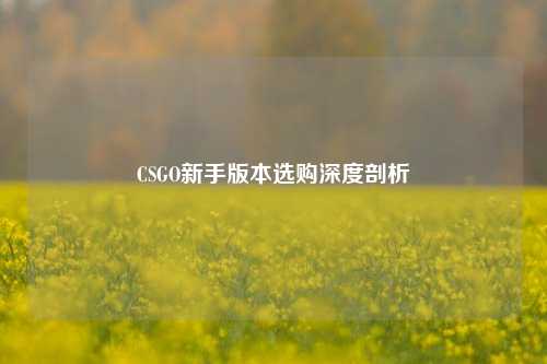 CSGO新手版本选购深度剖析