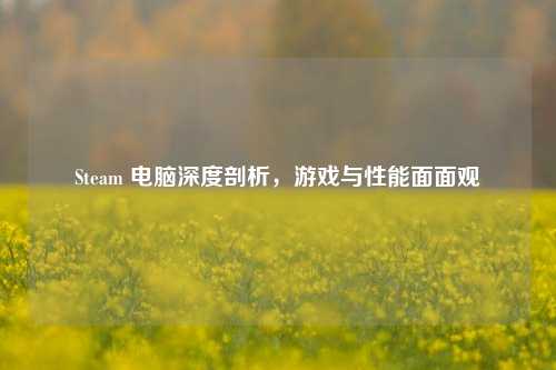 Steam 电脑深度剖析,游戏与性能面面观