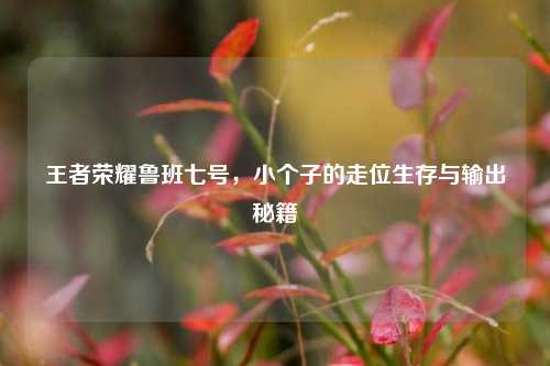 王者荣耀鲁班七号,小个子的走位生存与输出秘籍