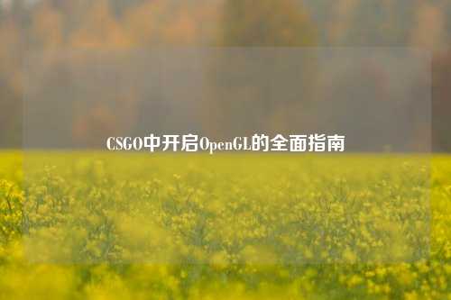 CSGO中开启OpenGL的全面指南