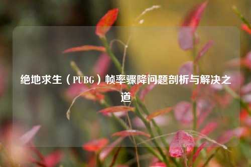 绝地求生(PUBG)帧率骤降问题剖析与解决之道