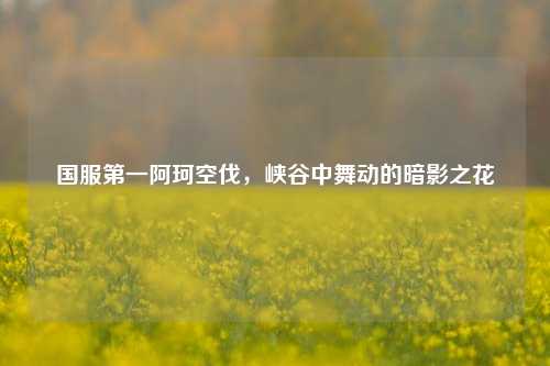 国服之一阿珂空伐,峡谷中舞动的暗影之花