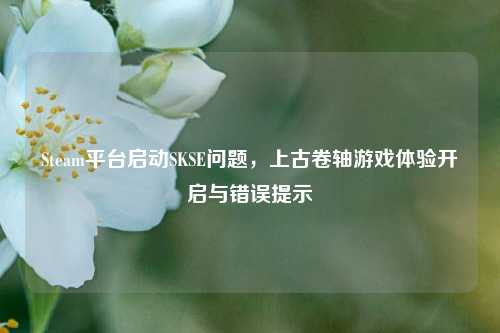 Steam平台启动SKSE问题,上古卷轴游戏体验开启与错误提示