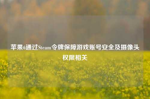 苹果6通过Steam令牌保障游戏账号安全及摄像头权限相关