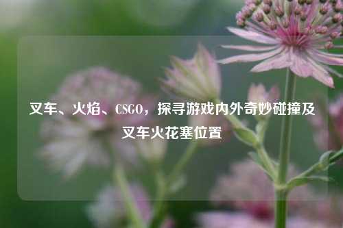 叉车、火焰、CSGO，探寻游戏内外奇妙碰撞及叉车火花塞位置