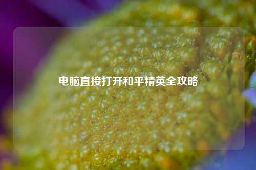 电脑直接打开和平精英全攻略