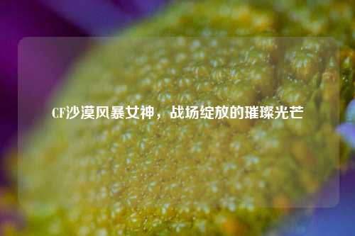 CF沙漠风暴女神,战场绽放的璀璨光芒