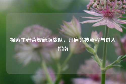 探索王者荣耀新版战队,开启竞技新程与进入指南