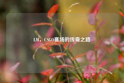 LM，CSGO赛场的传奇之路