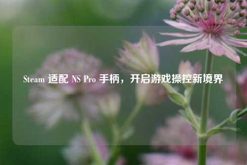 Steam 适配 NS Pro 手柄,开启游戏操控新境界