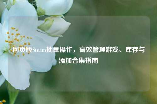 网页版Steam批量操作,高效管理游戏、库存与添加合集指南