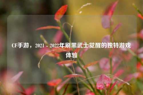 CF手游,2021 - 2022年刷黑武士觉醒的独特游戏体验
