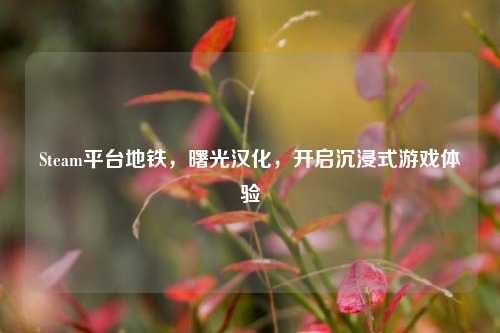 Steam平台地铁,曙光汉化,开启沉浸式游戏体验