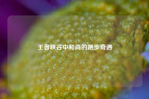 王者峡谷中和尚的跑步奇遇