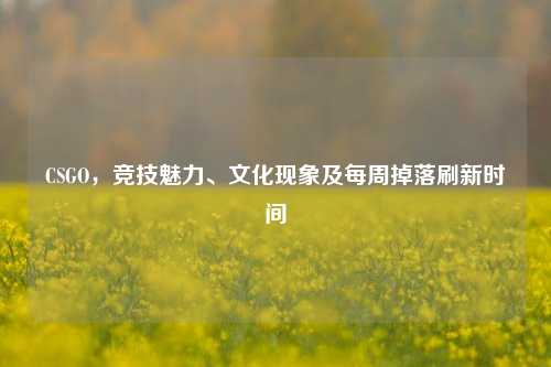 CSGO,竞技魅力、文化现象及每周掉落刷新时间