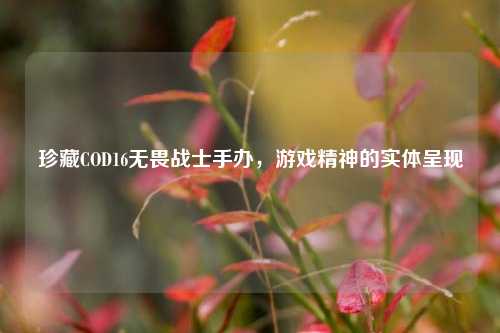珍藏COD16无畏战士手办,游戏精神的实体呈现