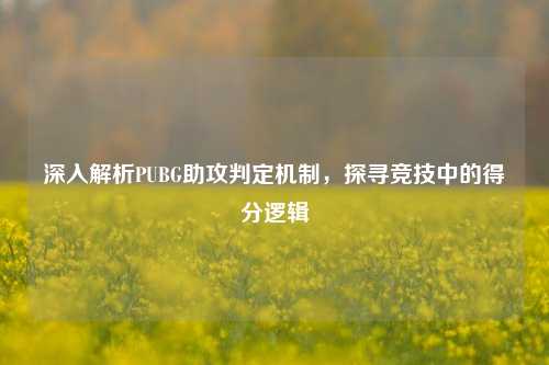 深入解析PUBG助攻判定机制,探寻竞技中的得分逻辑