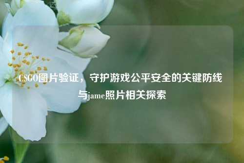 CSGO图片验证,守护游戏公平安全的关键防线 与jame照片相关探索