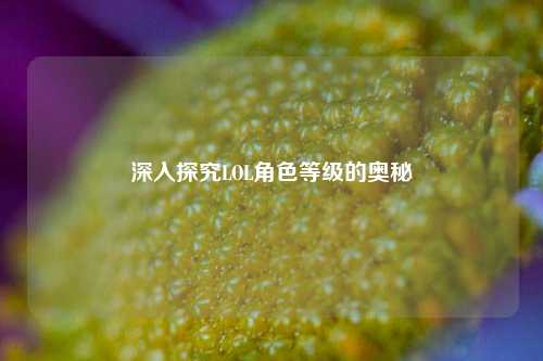 深入探究LOL角色等级的奥秘