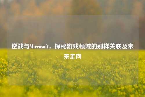 逆战与Microsoft,探秘游戏领域的别样关联及未来走向
