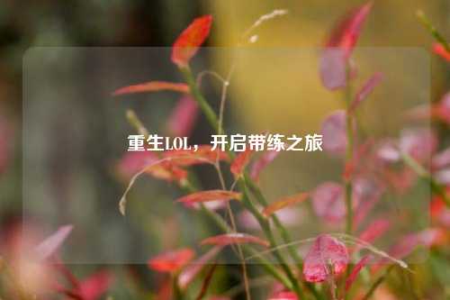 重生LOL,开启带练之旅