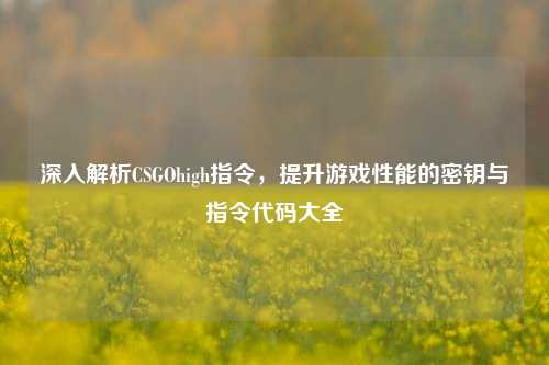 深入解析CSGOhigh指令,提升游戏性能的密钥与指令代码大全