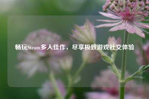 畅玩Steam多人佳作,尽享极致游戏社交体验