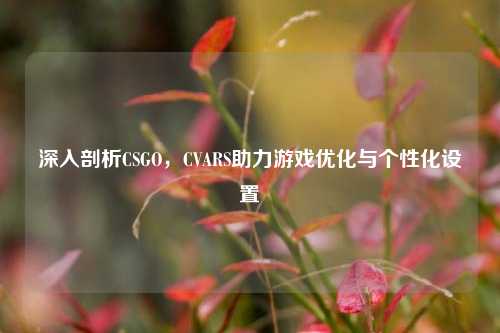 深入剖析CSGO,CVARS助力游戏优化与个性化设置
