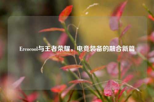 Ercocool与王者荣耀,电竞装备的融合新篇