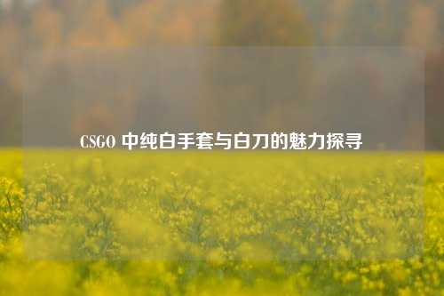 CSGO 中纯白手套与白刀的魅力探寻