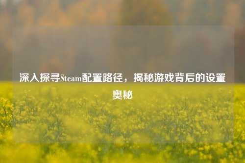深入探寻Steam配置路径,揭秘游戏背后的设置奥秘