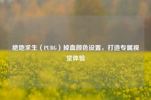 绝地求生(PUBG)掉血颜色设置,打造专属视觉体验
