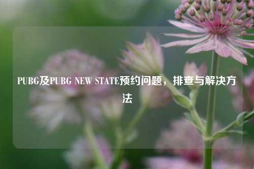 PUBG及PUBG NEW STATE预约问题,排查与解决 ***