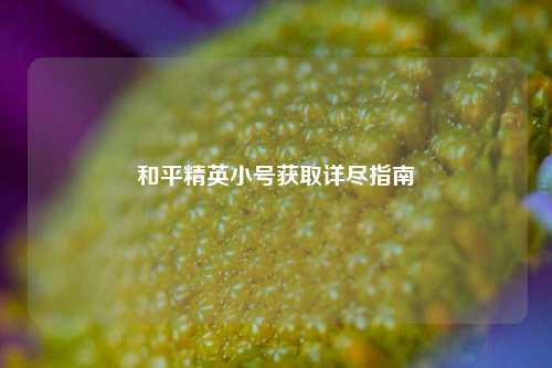 和平精英小号获取详尽指南