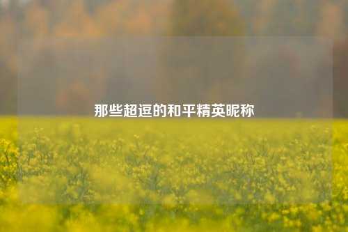 那些超逗的和平精英昵称