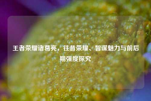 王者荣耀诸葛亮,往昔荣耀、智谋魅力与前后期强度探究