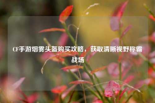 CF手游烟雾头盔购买攻略,获取清晰视野称霸战场