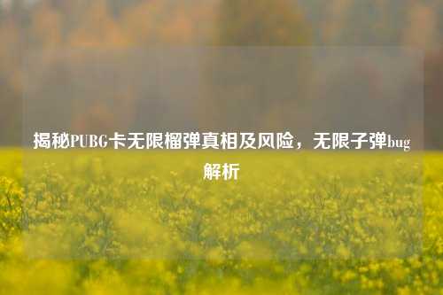揭秘PUBG卡无限榴弹真相及风险,无限子弹bug解析