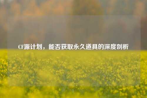 CF源计划,能否获取永久道具的深度剖析