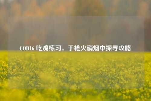 COD16 吃鸡练习,于枪火硝烟中探寻攻略