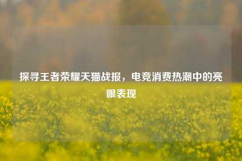 探寻王者荣耀天猫战报,电竞消费热潮中的亮眼表现